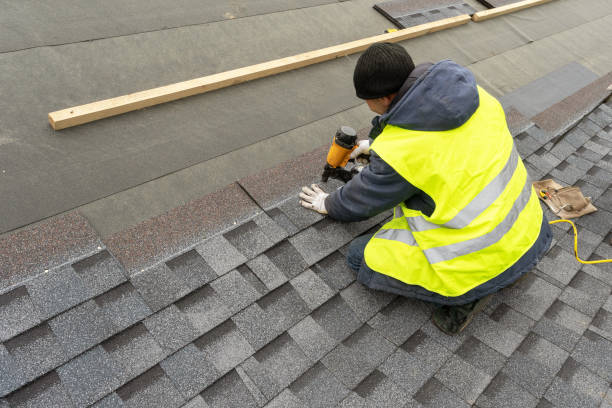 Best Roof Repair Services  in Ness City, KS