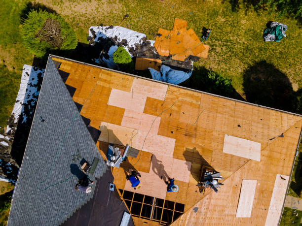Best Roof Restoration Services  in Ness City, KS