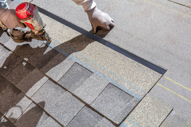 Best Roof Maintenance Services  in Ness City, KS