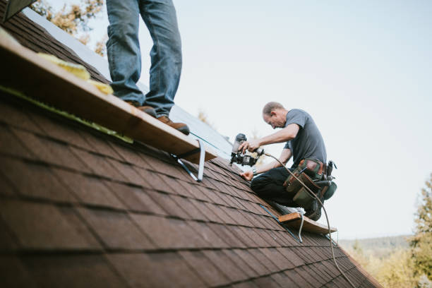Best Gutter Installation and Roofing  in Ness City, KS
